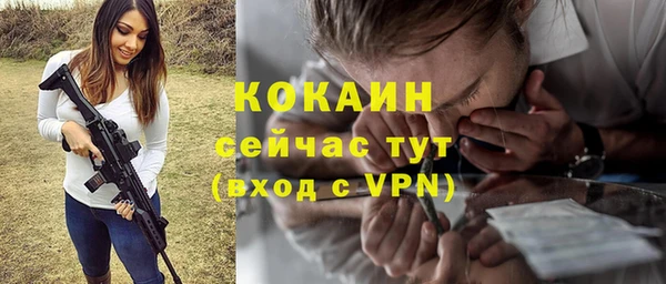 гидра Рославль