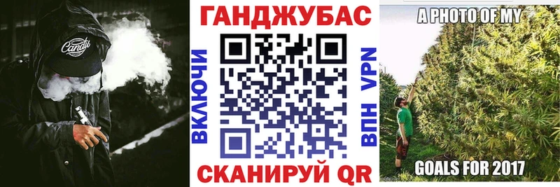 Шишки марихуана план  купить   Грязи 